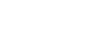 DV International